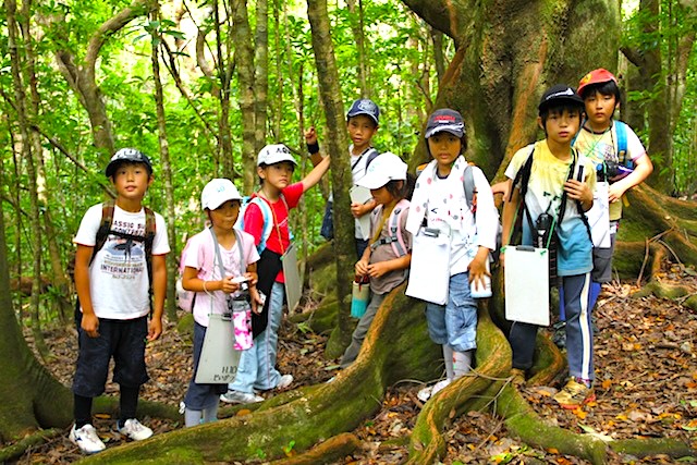 小笠原諸島～世界自然遺産に登録されて 小笠原村立母島小学校三年生にきく