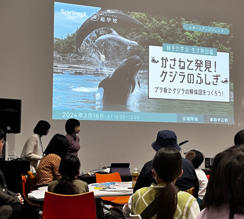 太地町立くじらの博物館副館長に聞くーークジラの秘密